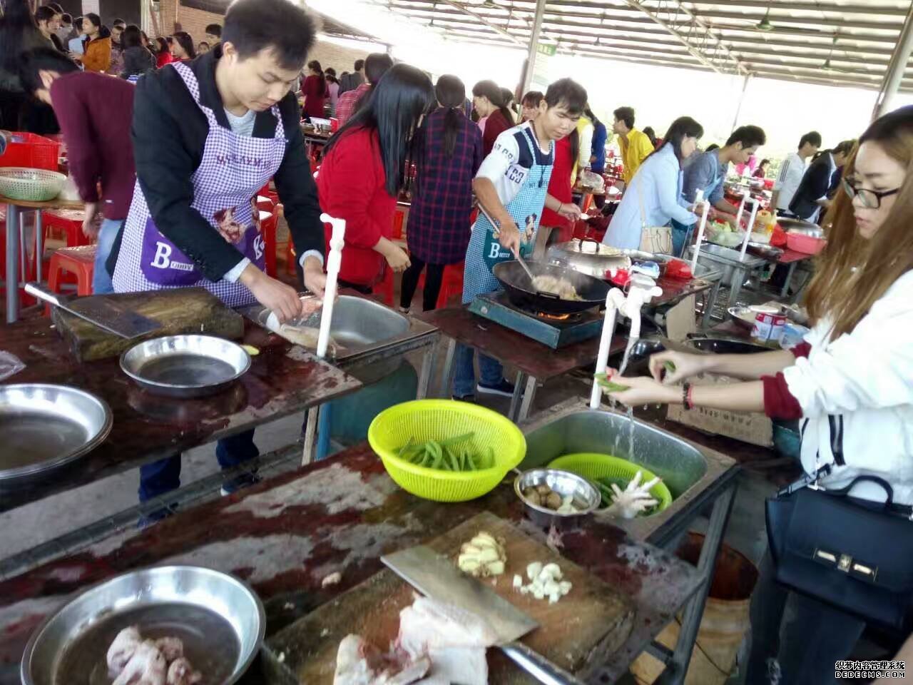 公司組織河源巴伐利亞莊園三日游活動(dòng)